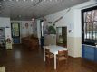 2 - Antennina | Buon Pastore