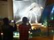 1 - I beneficiari del Centro Darsena visitano il Fontego dei Turchi, sede del Museo di Storia Naturale | EVENTI | Buon Pastore