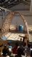 3 - Visita didattica alla Biennale Architettura 2016 REPORTING FROM THE FRONT: molte case, molti luoghi, un mondo unico | EVENTI | Buon Pastore