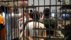 4 - Visita didattica alla Biennale Architettura 2016 REPORTING FROM THE FRONT: molte case, molti luoghi, un mondo unico | EVENTI | Buon Pastore